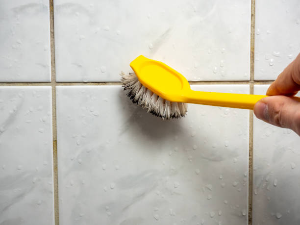 Best Post-Flood Mold Remediation in Vandalia, IL